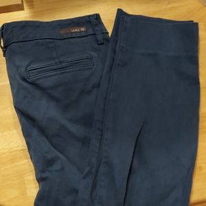 Level 99 Francis Lacey Double Welt Zip Blue Cropped Pants 29P